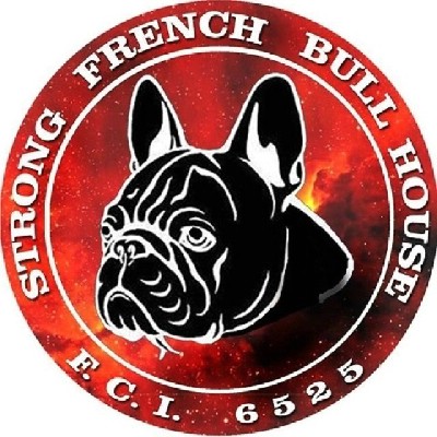 Francuski buldog stenci na prodaju